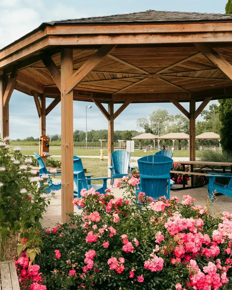 An exterior photo of the library's back garden gazebo. The gazebo is made of wood and has a picnic table and blue adirondac chairs inside. There is a pink rosebush in full bloom in the forground, with a green field in the background.