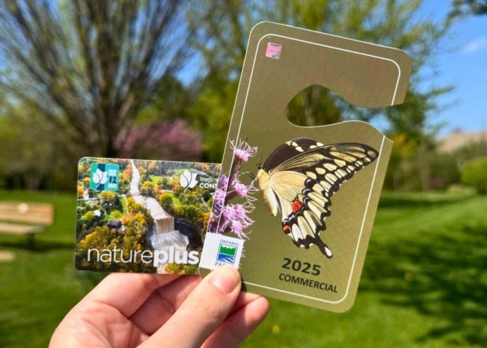 Image of a hand holding two parks passes, one with a photo of a black and yellow butterfly, the other with a narrow waterfall surrounded by greenery. There is are green trees and grass in the background.